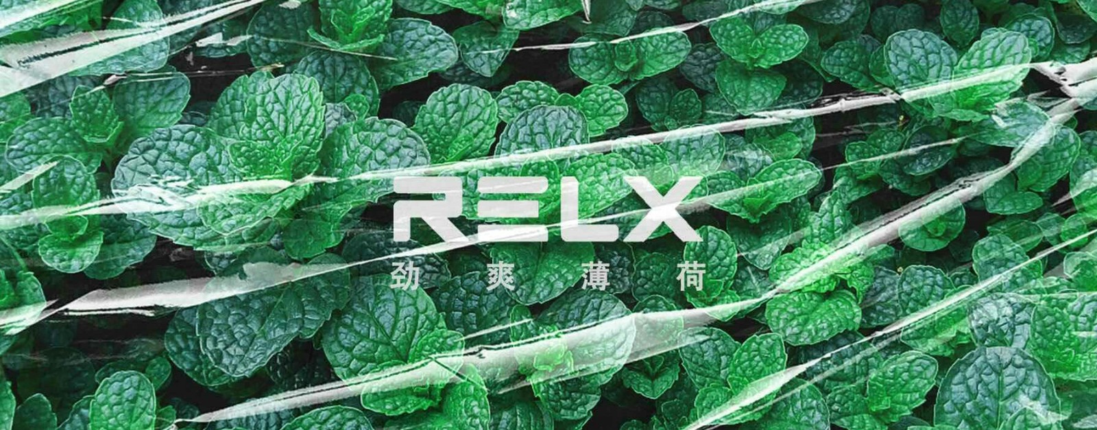 悦刻一代雾化弹/烟弹-劲爽薄荷效果图