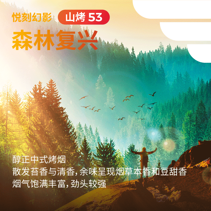 悦刻幻影山烤53森林复兴-3.